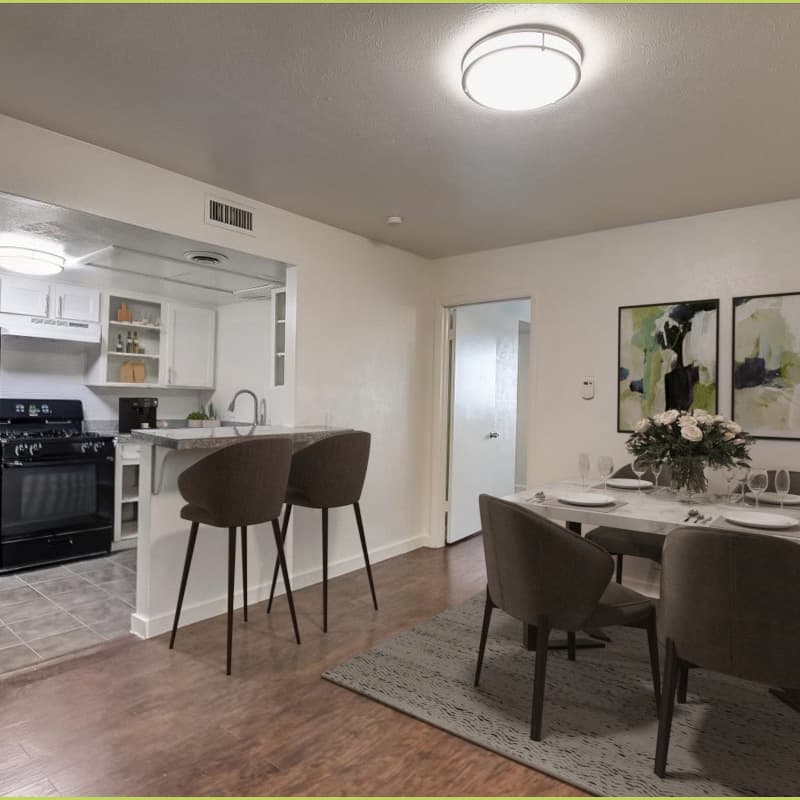 6806ba99136c061335401e3c_The-Lights